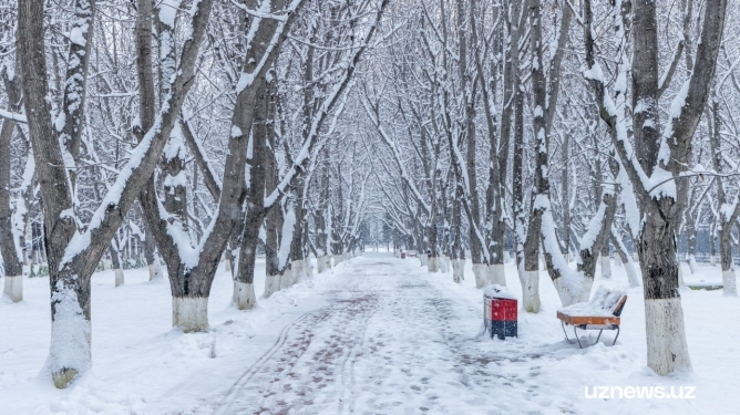 Снег и ночные морозы до -17 градусов ожидаются на следующей неделе в Узбекистане